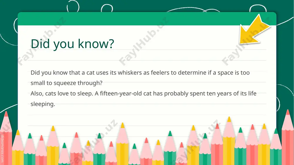 interesting facts about animal senses - Page 4
