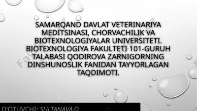 qodirova zarnigor taqdimoti — PPTX