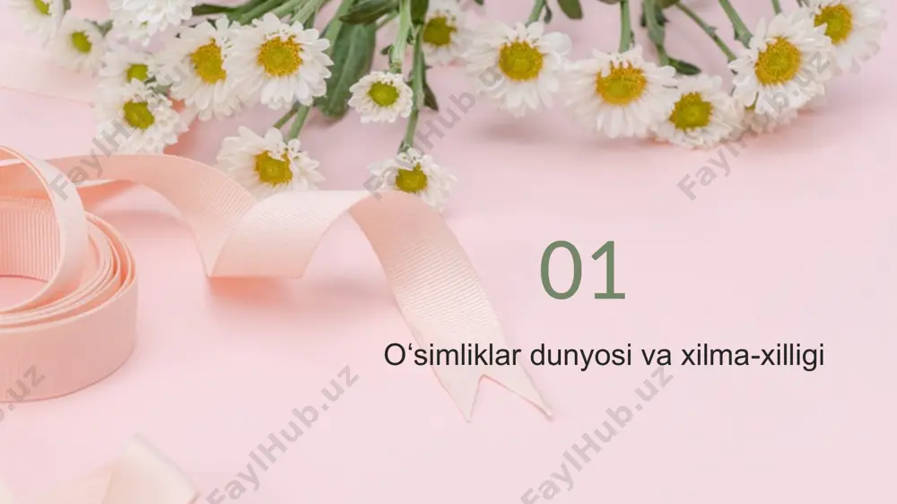 harakatlar natijasidandir. o’sish harakatlari bir necha xil bo’ladi: 1) tropizmlar, 2) nastik harakatlar, 3) nutasiya harakatlari va boshqalar. tropizmlar. tropizm harakatini o’simliklarga bir tomonlama ta’sir qiladigan tashqi sharoit omillari vujudga keltiradi. tropizm grekcha so’z bo’lib, («tropos») burilish ma’nosini bildiradi. tabiatda tropizm harakatlariga ko’plab misol keltirish mumkin. ularning asosiy sababi shundaki poya, ildiz va barg o’suvchi qismlarining bir tomonidagi hujayralar tezroq cho’ziladi va o’sadi. hujayralarning bunday tez o’sishiga fitogormonlar (isk, abk) sababchi bo’ladi. bu o’stiruvchi moddalar ishtirokida o’suvchi organning tezroq o’sgan tomoni tashqariga qarab qubbasimon bo’lib chiqadi, o’sish sekinlashgan tomoni ichiga qarab bukiladi va o’simlik organi o’sish sekinlashgan tomonga egiladi. tropizmlar musbat va manfiy bo’ladi. ta’sir etuvchi manbaga qarab yo’nalgan harakatga musbat, manbadan qochuvchi harakatga manfiy deyiladi. etiboringiz uchun rahmat! image1.png image2.jpeg image3.jpeg image4.png image5.png image6.jpeg image7.jpeg image8.jpeg image9.jpeg image10.jpeg image11.jpeg image12.jpeg image13.jpeg image14.jpeg image15.jpeg