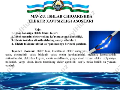 elektr xavfsizligi asoslariga oid — PPTX