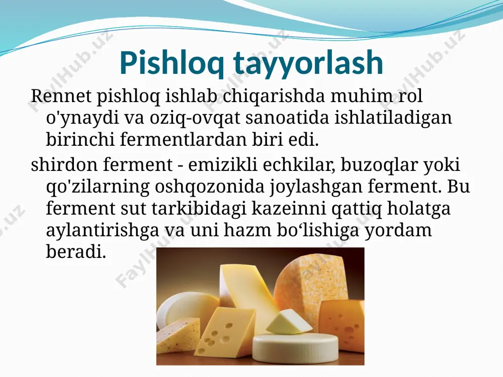 sut sanoatda ferment tayyorlash - Page 4
