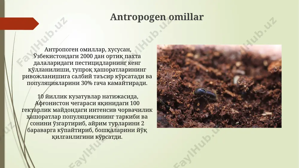 'ida bo'lganda, qoraqo'tir hasharotlarining rivojlanish sur'ati 20% ga ortadi. tuproqning organik moddasi o'zbekistonning tog'li hududlarida, 1500 metr balandlikda, tuproqning organik moddasi tarkibiga kiruvchi azot miqdori, hasharotlar lichinkalarining o'sish sur'atini 30% ga oshirishi mumkin. tuproqning organik moddasi, masalan, 5-10% gacha bo'lgan gumus miqdori bilan, o'zbekistonning janubiy viloyatlarida, paxtachilik hududlarida, qurg'oqchil sharoitlarda hasharotlar rivojlanishiga salbiy ta'sir ko'rsatishi mumkin. havoning tarkibi tuproqning havo tarkibida 15-20% karbonat angidrid gazining mavjudligi, andijon viloyatining qurg'oqchil hududlarida tuproq hasharotlari rivojlanishi uchun optimal sharoit yaratadi yoki aksincha inhibe qiladi. qoraqalpog'iston respublikasidagi tuproqlarning havo tarkibiga 5-10% azot oksidlari aralashuvi tuproq hasharotlarining rivojlanishini sekinlashtiradi yoki tezlashtiradi, bu esa tuproqning namligi va haroratiga bog'liq. ph darajasi турли хил хашаротларнинг тупроқ ph га бўлган сезувчанлиги турлича: масалан, 7,2 ph даражасидаги нейтрал тупроқларда қорақуртларнинг ривожланиши оптимал, лекин 6,0 ph даражасида уларнинг ривожланиши секинлашади. ўзбекистоннинг чўл ҳудудларидаги тупроқларда, масалан, қишлоқ хўжалиги вазирлигининг маълумотларига кўра, 7,0-8,5 ph даражасидаги ишқорли тупроқларда саранчоқлар популяциясининг кўпайиши кузатилган. haroratning …