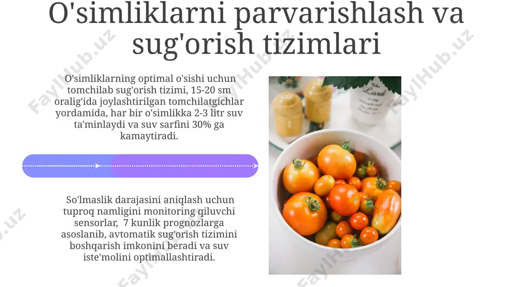 pomidor yetishtirish uchun agrotexnika ishlab chiqish - Page 4
