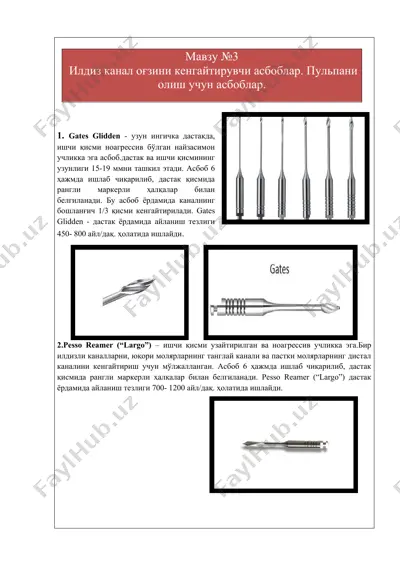 beutelrock тип 1 (bl) (beutelrock reamer) — DOCX