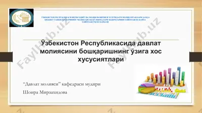 davlat moliya tizimi — PPTX