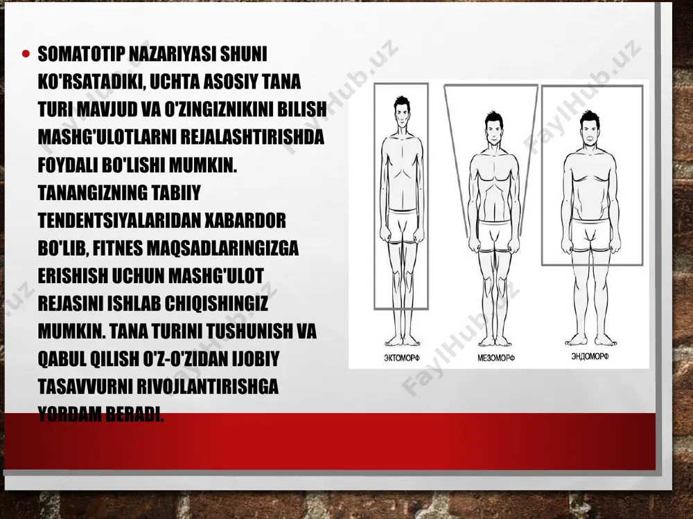 aganda vazn yo'qotish osonroq. ular o'rta o'lchamdagi muskulli va atletik tuzilishga ega. har kim ham ushbu tana turlaridan faqat bittasi uchun mukammal bo'lishi shart emas va odamlar ularda bir nechta tana turiga xos xususiyatlarga ega ekanligini bilishlari mumkin. mushaklar tanasi turini rivojlantirish mushak massasini rivojlantirish uchun siz kuch mashqlarini bajarishingiz kerak bo'ladi. har bir mushak guruhini haftada ikki marta to'liq tana mashqlari yoki tananing ma'lum qismlariga mo'ljallangan split mashqlar qismi sifatida mashq qilishga e'tibor qarating. squats, deadlift, skameykali presslar, elkama presslari, vertikal qatorlar va biceps, triceps, abs va buzoqlar kabi kichik mushak guruhlari uchun izolyatsiyalangan mashqlar kabi murakkab mashqlardan foydalaning. shuni yodda tutingki, har bir insonning tanasi, "turi" dan qat'i nazar, o'quv dasturlariga boshqacha munosabatda bo'ladi. natijalarni ko'rishda davom etish uchun mashg'ulot rejimini, davriylashtirish deb ataladigan strategiyani o'zgartirish muhimdir. bundan tashqari, mushak massasi va ta'rifining o'sishini ko'rish uchun vazn, takroriy takrorlash yoki to'plamlarni oshirishingiz kerak. bundan tashqari, sizning dietangizda yog'siz …