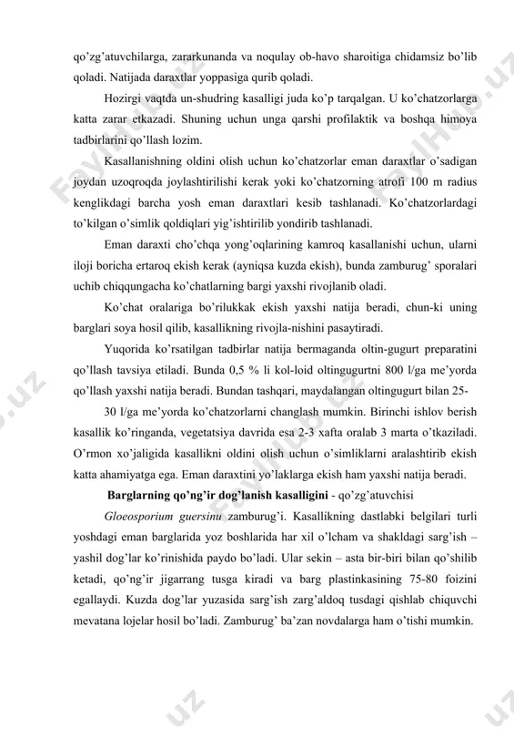 an yosh daraxtlarning o’sishini pasaytiradi, shoxlarni o’zgartiradi. kasallangan o’simliklar qishga tayyorlana olmaydi, shuning uchun kuzgi sovuqlarga chidamsiz bo’lib qoladi. katta daraxtlar boshqa kasallik qo’zg’atuvchilarga, zararkunanda va noqulay ob-havo sharoitiga chidamsiz bo’lib qoladi. natijada daraxtlar yoppasiga qurib qoladi. hozirgi vaqtda un-shudring kasalligi juda ko’p tarqalgan. u ko’chatzorlarga katta zarar etkazadi. shuning uchun unga qarshi profilaktik va boshqa himoya tadbirlarini qo’llash lozim. kasallanishning oldini olish uchun ko’chatzorlar eman daraxtlar o’sadigan joydan uzoqroqda joylashtirilishi kerak yoki ko’chatzorning atrofi 100 m radius kenglikdagi barcha yosh eman daraxtlari kesib tashlanadi. ko’chatzorlardagi to’kilgan o’simlik qoldiqlari yig’ishtirilib yondirib tashlanadi. eman daraxti cho’chqa yong’oqlarining kamroq kasallanishi uchun, ularni iloji boricha ertaroq ekish kerak (ayniqsa kuzda ekish), bunda zamburug’ sporalari uchib chiqqungacha ko’chatlarning bargi yaxshi rivojlanib oladi. ko’chat oralariga bo’rilukkak ekish yaxshi natija beradi, chun-ki uning barglari soya hosil qilib, kasallikning rivojla-nishini pasaytiradi. yuqorida ko’rsatilgan tadbirlar natija bermaganda oltin-gugurt preparatini qo’llash tavsiya etiladi. bunda 0,5 % li kol-loid oltingugurtni …