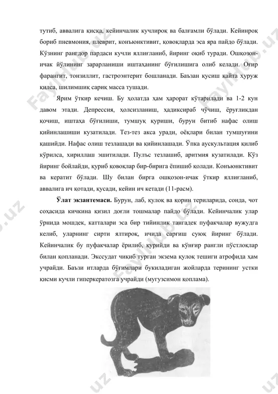 н таркиби ҳам маълум даражада ўзгаради, лейкоцитоз кузатилиб, эритроцитлар ва гемоглобин кўпаяди. касаллик авж олганда анемия кузатилади. ўлат енгил кечганда бирор ҳафтада тузалиши мумкин, оғир кечганда эса ойлаб давом этади. одатда 2-3 ҳафтадан кейин асаб бузилиши ҳолати кузатилиб, касалланиб тузалган ҳайвонларда айрим мускулларнинг учиб туриши, чала ёки тўлиқ фалаж билан бирга кар ва кўр бўлиб қолиш, ҳид билиш сезгисини йўқотиш кузатилади. итларда ўлим 50-85 фоиз атрофида бўлади. патологоанатомик ўзгаришлар. агар ўлим ўта ўткир ёки ўткир кечиш даврида содир бўлмаса, ўлакса жуда ҳам озғин бўлади. кўз ва бурун атрофида йиринг қотиб қолган, кўз қорачиғи катталашиб, кўз ичига тортган, лаб ва бурун атрофида майда эрозия ва яралар бўлади. қорин терисида везикуляр ва пустуллёз дерматит кўзга ташланади. тери эпидермисида пустула ва везикула бўлиб, лимфоид инфильтрация учрайди. нафас йўллари яллиғланиб, катарал ва йирингли экссудат билан бекилиб қолган бўлади. ўпкада кўкимтир ўчоқлар вужудга келади. яллиғланиш ўпканинг олдинги, ўрта ҳамда краниал томонларини эгаллайди. айрим ҳолларда бронхопневмония …