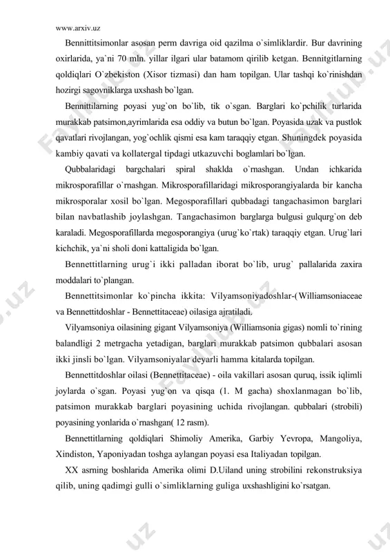 ng qoldiqlari shimoliy amerika, garbiy yevropa, mangoliya, xindiston, yaponiyadan toshga aylangan poyasi esa italiyadan topilgan. xx asrning boshlarida amerika olimi d.uiland uning strobilini rekonstruksiya qilib, uning qadimgi gulli o`simliklarning guliga uxshashligini ko`rsatgan. shunday qilib, bennettitlar qubbasining urganilishi, to`zilishiga asoslanib, angliyalik paleobotanirlar arber va parkinlar bennettitlar gulining kelib chiqishi haqidagi uzlarining strobilyar (chingul) nazariyasini yaratganlar. xulosa qilib aytganda bennettitlar gulli o`simliklarning eng yaqin ajdodlaridan xisoblanadi. sinf (ajdod) genetumsimonlar - cnetopsida bu sinfga 3 ta qabila: ( kizilchanamolar - ephedrales, vulvichiyanamolar - welwetschiales, gnetumnamolar - cnetales). 3 ta oila, 3 ta turkum va 70 dan ortiq tur kiradi. ular o`rta yer dengizi atrofidagi cho`llarda, janubiy osiyo, urta osiyo, shimoliy va junibiy amerika, kavkaz, sibir, janubiy-garbiy osiyo, afrika va janubiy amerikaning tropik zonalaridan tarqalgan. hayotiy shakli jihatidan bu sinf vakillari uncha katta bulmagan daraxt, buta va lianalardan iborat. bu sinf vakillari qubbasining atrofida gulqurg`on ko`rinishdagi uramasining bulishi va murtakdan xosil bo`ladigan urug`ning tashqi …