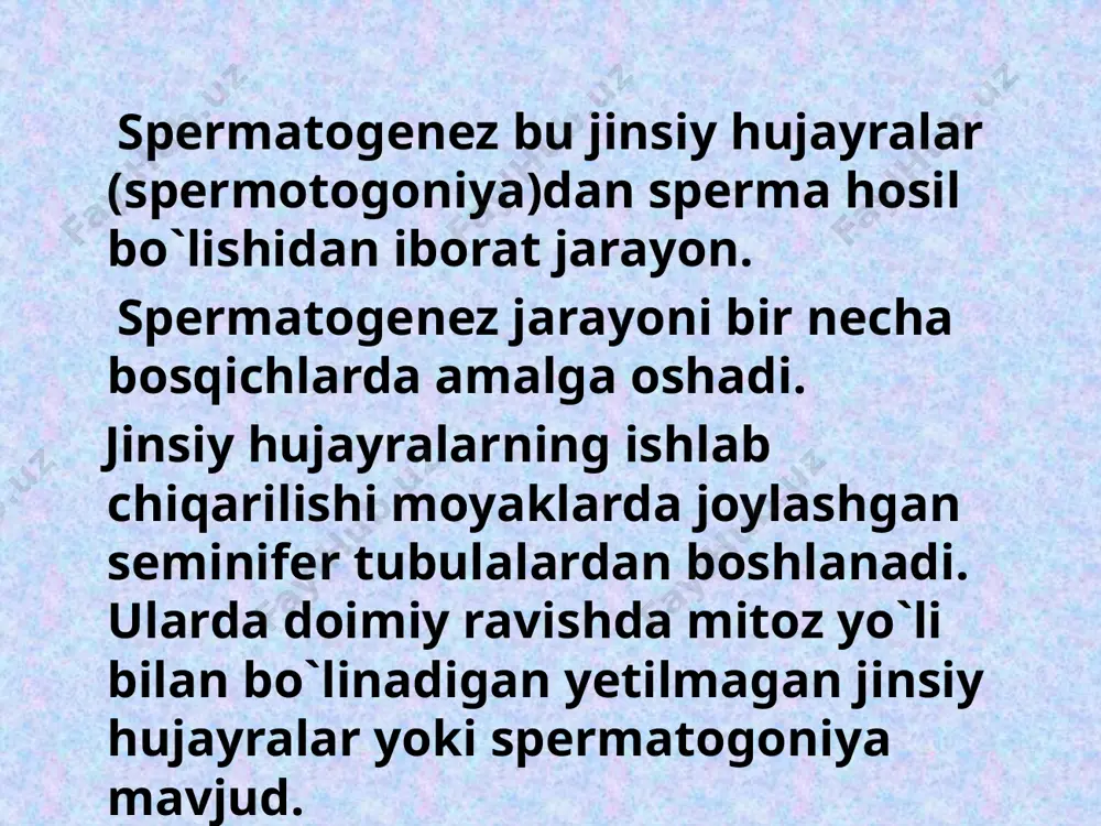 arni o`rab olgan bo`yinning orqa sohasi tomon siljiydi va sperma dumining oraliq mintaqasini tashkil etuvchin zich spiral niqob ostida joylashadi. sitoplazma allaqachon shakllangan flagellumni qoplash uchun harakat qiladi va “manhette” eriydi. pishib yetish bosqichi sitoplazma qoldiq tanani hosil qiladi. b spermatogoniyasida hosil bo`lgan sitoplazmatik ko`prik qoldiq jismlarda qoladi. shning uchun spermatidlar ajralib chiqadi. spermatogenez davrlari ko`payish o`sish yetilish shakllanish yoki spermiogenez ko`payish davri spermatogoniylar mitotik yo`l bilan bo`linib ko`payadi. soni ortadi. bunday bo`linish soni hayvonlarda 1-14 tagacha bo`lishi mumkin. o`sish davri spermatogoniylar bo`linmaydi. intensiv o`sadi. natijada ulardan birinchi tartibli spermatotsitlar hosil bo`ladi. yadroda jiddiy o`zgarishlar sodir bo`lib meyoz bo`linishga tayyorgarlik boshlanadi. bunda xromosomalar soni 2 barobar ortib, tetrada deb ataladi. yetilish davri birinchi tartibli spermatotsitlar 2 marta meyoz yo`li bilan bo`linadi. birinchi bo`linishdan so`ng hosil bo`lgan ikkinchi tartibli spermatotsitlarda xromosomalar juft bo`lib joylashadi. meyoz bo`linish bosqichlari reduksion meyoz ekvasion meyoz yetilishning ikkinchi bosqichida hosil bo`lgan hujayralarda xromosomalar teng taqsimlanib, har …