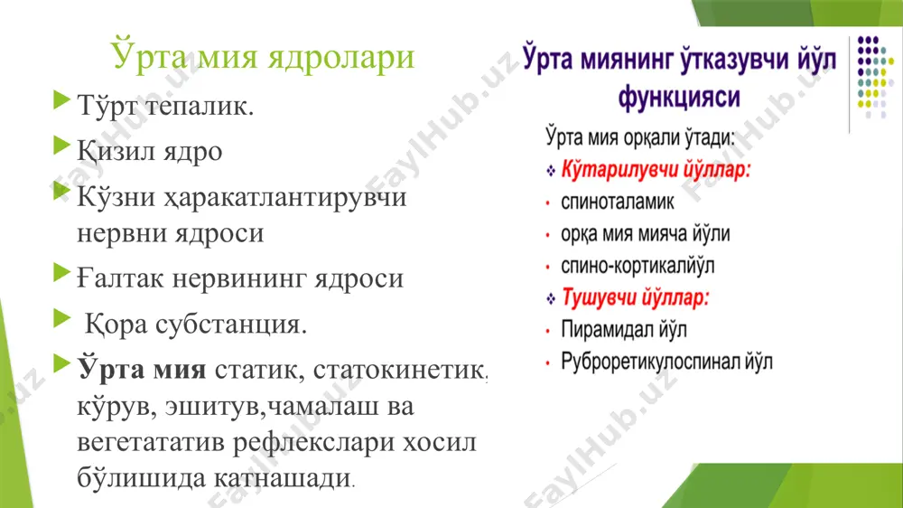 физиология кафедраси - Page 4