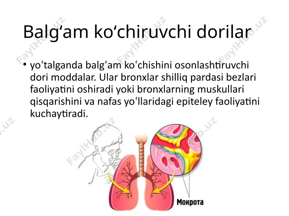 ksincha nam yo‘talda ularni qo‘llash xavflidir, chunki ularni qo‘l­lash balg‘am chiqarilishiga qarshilik qilib, zotiljam rivojlanishiga olib kelishi mumkin. bronxolitiklar bronxlar silliq mushaklarining yozilishini ko‘paytirib, oralig‘ini kengaytiradi. bu guruh dori-darmonlar shifokor tomonidan bronxial nafas siqish kuzatilganda, bronxial astma, obstruktiv bronxitda buyuriladi. yo‘talni davolashda shuni yodda saqlash lozim, unga qarshi dori-darmonlarni mukolitik va balg‘am ko‘chiruvchi dorilar bilan birga qo‘llash mumkin emas. yo‘tal uzoq davom etadigan hollarda shifokorga qayta murojaat qilish kerak. davolash to‘g‘ri buyurilganda yo‘tal 7-10 kunlarda to‘xtaydi. ammo yo‘tal 3 haftadan ko‘p davom etsa, bu xavotir uchun jiddiy sabab bo‘ladi. cho‘ziluvchan yo‘tal xavfli kasalliklarning belgisi bo‘lishi mumkin. bronxolitiklarga ta'sir mexanizmi turlicha bòlgan, bronxlarni kengaytiruvchi preparatlar kiradi. b- adrenomimetiklar m-xolinoblokatorlar miotrop tasirli preparatlar b- adrenomimetiklar izadrin orsiprenalin sulfat salbutamol fenoterol efedrin barchasi ingalyatsion yòl bilan yuboriladi. e'tiboringiz uchun raxmat image1.jpeg image2.jpeg image3.jpeg image4.jpeg image5.jpeg image6.png image7.jpeg image8.jpeg
