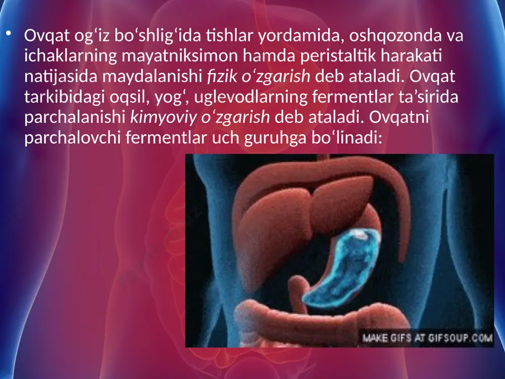 ovqat hazm qilishning ahamiyati. 8 - sinf - Page 4