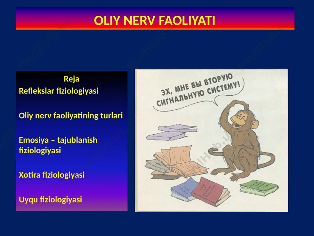 ayrasi va glial xujayraning trofik faoliyati ostida xujayra genetik apparatida afferent tola orkali keladigan impulsga nisbattan rnk sintezi taminlanib xujarada kodli oksilli xotira sintizlanadi va saklanadi va kayta keladigan signal mos kelganda javob reaksiyasini reflektor funktsional tizimga uzatib javob reaktsiyasini ta'minlaydi. kiska va nisbattan kiska xotirada glial xujayralarda xotira oksiliga karshi antitana ishlab chikarilib xosil bulgan xotira oksilini tezda parchalaydi va xotira yukoladi xotira fiziologiyasi xotira bu urganish va tafakur kilish asosisi bulib turtta bir biri bilan boglik jaraenni uz ichiga oladi. eslash saklash tanish - bilish kayta ishlabchikarish inson xotirasi 60 yil ichida 1013-1016 bit informasiyani saklaydi shundan 5-10% faoliyatda buladi. xotira turlari obrazli emosional logik xotiraning davomiyligiga karab kiska nisbattan kiska davomiy oliy nerv faoliyatining turlari sangvinnik –kuchli - uzini tuta biladi – xarakatchan trik flegmatik – kuchli – uzinituta biladi – zaif – tinch xotirjam. xollerik – kuchli – uzini tuta bilmaydi – cheksiz xarkatchan (ushlab turib …