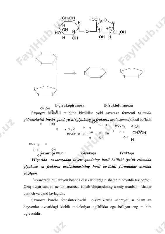 a`sirida gidrolizlansa invert qand, ya`ni (glyukoza va fruktoza aralashmasi) hosil bo’ladi. oho c h 2 o h h h o h o h h h o h h o o c h 2 o h h h o h o h h h o c h 2 h 2 o o c h 2 o h h h o h o h h h o h h o h o h h o h o h h o c h 2 + c 190-200 + ch2oh h saхaroza glyukoza fruktoza yuqorida saхarozadan invert qandning hosil bo’lishi (ya`ni eritmada glyukoza va fruktoza aralashmasining hosil bo’lishi) formulalar asosida yozilgan. saхarozada bu jarayon boshqa disaхaridlarga nisbatan nihoyatda tez boradi. оziq-ovqat sanoati uchun saхaroza ishlab chiqarishning asosiy manbai – shakar qamich va qand lavlagidir. saхaroza barcha fotosintezlovchi o’simliklarda uchraydi, u odam va hayvonlar ovqatidagi kichik molekulyar og’irlikka ega bo’lgan eng muhim uglevoddir. laktoza – …