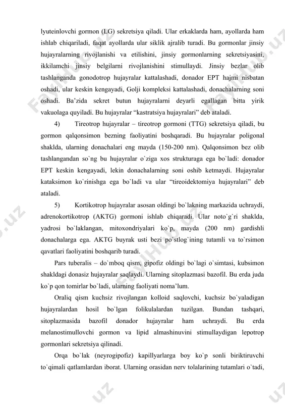 gi bo`lagi o`simtasi, kubsimon shakldagi donasiz hujayralar saqlaydi. ularning sitoplazmasi bazofil. bu erda juda ko`p qon tomirlar bo`ladi, ularning faoliyati noma’lum. oraliq qism kuchsiz rivojlangan kolloid saqlovchi, kuchsiz bo`yaladigan hujayralardan hosil bo`lgan folikulalardan tuzilgan. bundan tashqari, sitoplazmasida bazofil donador hujayralar ham uchraydi. bu erda melanostimullovchi gormon va lipid almashinuvini stimullaydigan lepotrop gormonlari sekretsiya qilinadi. orqa bo`lak (neyrogipofiz) kapillyarlarga boy ko`p sonli biriktiruvchi to`qimali qatlamlardan iborat. ularning orasidan nerv tolalarining tutamlari o`tadi, ular mayda sekret donachalar tutadi. bu donachalar aksonlarning oxirgi bo`limlarida yig`ilib, to`g`nog`ichsimon kengaymalar – xerring tanachalarini hosil qiladi. orqa bo`lakda neyroglial tipdagi hujayralar – pituitsitlar bo`lib, ular filamentlar, pigment donachalari va lipid kiritmalari saqlaydi. ular stroma vazifasini bajaradi va taxmin qilinishicha, xerring tanachalaridan sekretning ajralishiga ta’sir ko`rsatadi. neyrogipofizda gipotalamusning supraoptik va paraventrikulyar yadrolaridagi nerv hujayralaridan hosil bo`lgan vazopressin (antidiuretik -adg) va oksitotsin gormonlari to`planadi. neyrosekretor hujayralarning aksonlari oyoqchalardan o`tib orqa bo`lakka boradi va kapillyarlar yaqinida – xerring tanachasida yakunlanadi. …