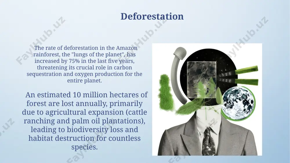 environmental issues - Page 3