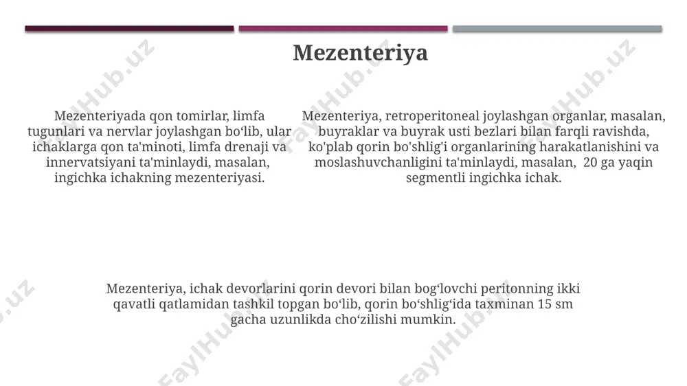 . masalan, o'ng buyrak o'zining 2/3 qismi bilan retropereitoneal joylashadi. peritoneal katlamlar periton qatlamlarining qorin bo'shlig'i devorlariga birikish usuli 2 ta asosiy qatlamdan – parietal va visseral peritonlardan iborat bo'lib, ular orasida peritoneal bo'shliq joylashgan, masalan, jigar, oshqozon kabi organlarni o'rab oladi. visseral periton esa qorin bo'shlig'idagi organlarning sirtini qoplaydi va ularning har birining shakli va o'lchamiga moslashib, 10 dan ortiq individualizatsiyalangan bukmalar hosil qiladi, misol uchun, ichak mezentriyasi. visseral periton esa qorin bo'shlig'idagi organlarning sirtini qoplaydi va ularning har birining shakli va o'lchamiga moslashib, 10 dan ortiq individualizatsiyalangan bukmalar hosil qiladi, misol uchun, ichak mezentriyasi. buyraklarning peritoneal munosabatlari buyraklarning peritoneal munosabatlari, siydik yo'llari va buyrak usti bezlari kabi qo'shni tuzilmalar bilan birgalikda, qorin bo'shlig'ining topografik anatomiyasini aniqlaydi. buyraklar retroperitoneal bo'lib, peritoneumning orqa devoriga yaqin joylashgan, faqat oldingi yuzasi qisman peritoneum bilan qoplanadi, bu esa 12-ko'krak umurtqasi darajasida sezilarli bo'ladi. chap buyrak, o'ng buyrakka nisbatan biroz yuqoriroq joylashganligi sababli, uning …