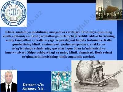 klinik anatomiya moduli — PPTX
