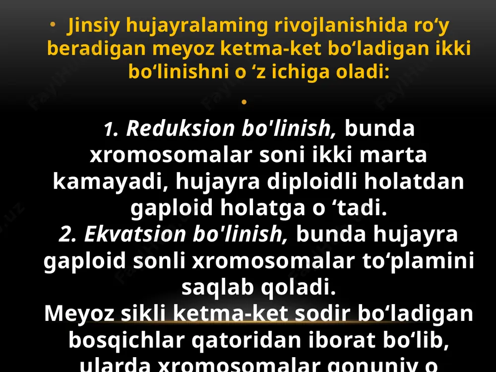 ababli meyozning birinchi bo‘linishi reduksion bo‘linish deyiladi. ikkinehi bo‘linishda esa har bir yangi yadro yana bo'linadi, ammo endihkda xromatidadan hosil bo‘lgan xromosoma ajraladi, shu sababli mitoz tipida bo‘ladigan ikkinehi bo‘linishni ekvatsion bo'linish deb ataladi. binobarin, meyoz bo‘linishga kirishgan har bir hujayra ketmaket ikki bo‘linishdan so ‘ng gaploid sondagi xromosomaga ega bo'lgan to‘rtta hujayra hosil bo‘ladi. organoidlar mcyozda mitozda bo‘lgani kabi hujayralar o ‘itasida tasodifan taqsimlanadilar. mitozning biologik ahamiyati: 1. mitoz о ‘sib rivojlanayotgan organizmning tana hujayralari h.arnda vcgetativ yo‘l bilan ko‘payishni ta’min etuvchi hujayralarda namoyon bo‘ladi. 2. mitoz bo‘linish natijasida hosil bo'lgan liar ikki hujavralarda xromosomalar soni o ‘zgarmay, boshlang‘ich hujayradagidev diploid (2n) holatda saqlanib qoladi. 3. mitoz organizmlar ontogenezi jarayonida yangi hujavraiar miqdorining jadallab osha borishi orqali ulaming o‘sib ^voiianishi, voyaga etishini ta’min etadi. 4. mitoz tufayli organizm ontogenezi davomida nobud bo'lib ketgan hujayralaming o ‘rni yangi hujayralar bilan to‘ldiriladi, har xil sabablarga binoan jarohatlangan to‘qima va organlar uning …