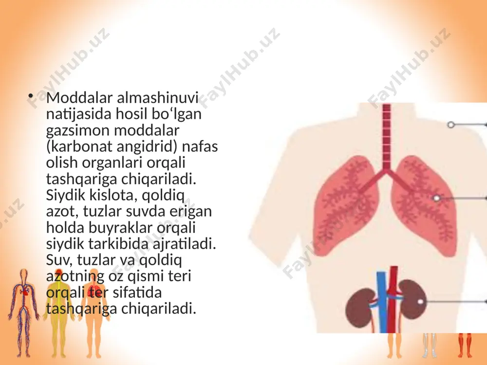 ayirish sistemasining ahamiyati. 8 - sinf - Page 4