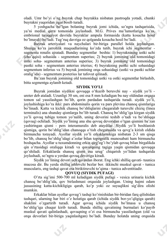 ca muscularis deb ataladi. fibroz pardaning sirtida yog’ qatlami bo’lib, u yog’li parda - capsula adiposa deyiladi. yog’ to’qimalari buyrak darvozasi va orqa yuza sohalarida ayniqsa yaxshi rivojlangan. buyrakning bu pardasida yog’ning ko’p yoki oz bo’lishi odamning semiz-oriqligiga ham bog’liq. buyrakning old va orqa tomonida yog’li kapsula ustidan biriktiruvchi to’qimadan tuzilgan fassiyalar (parda) - fascia renalis tortilgan, uning oldingi varag’iga - lamina prerenalis (buyrak oldi varag’i) orqadagisiga - lamina retrorenalis (buyrak orqasidagi varag’i) deyiladi. varaqlarning oldingisi medial tomonga yo’nalib, o’z yo’lidagi qon tomirlarni (buyrak arteriyasi, aorta, pastki kovak vena) oldindan qoplab, qarama-qarshi tomondan kelayotgan oldingi varaq bilan tutashadi. orqadagi varaq esa umurtqa tanalarining oldingi yuzalariga yopishadi. bu ikki varaqlar buyrakning tashqi qirg’og’i sohasida va ustki uchida o’zaro qo’shilib ketadi. yangi tug’ilgan chaqaloq buyragining moy qobig’i (xaltasi) deyarli rivojlanmagan bo’ladi (u 8 yoshdan keyin yaxshi rivojlana boshlaydi). buyrakning o’z joyida qimirlamasdan turishini ta’minlovchi omillarning biri ana shu yuqorida aytib o’tilgan fascia …