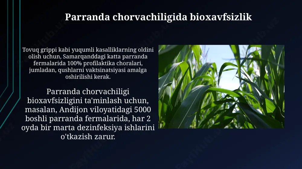 viloyatida zamonaviy parranda fermalarining soni 2025-yilga kelib 30% ga ko'payib, yiliga 10 million dona tuxum ishlab chiqarish imkoniyatini yaratadi. parranda chorvachiligi 2030-yilga borib, o'zbekistonning janubiy hududlarida, xususan qashqadaryo viloyatida 15% ga o'sishi va 5000 dan ortiq yangi ish o'rinlari yaratishini taxmin qilinyapti. parranda goʻshti yetishtirish parranda goʻshti yetishtirishda, oʻzbekistonning andijon viloyatida 2022 yilda 5000 tonnadan ortiq tovuq goʻshti ishlab chiqarildi, bu viloyatning umumiy qishloq xoʻjaligi mahsulotlariga 15% hissa qoʻshdi. qashqadaryo viloyatida joylashgan katta parranda fabrikasi yiliga 15 million dona tuxum va 2000 tonnadan ortiq tovuq goʻshti ishlab chiqaradi, bu mintaqaning oziq-ovqat xavfsizligini ta’minlashda muhim rol oʻynaydi. parranda chorvachiligining iqtisodiy ahamiyati parranda chorvachiligi o'zbekistonning janubiy hududlarida, masalan, qashqadaryo viloyatida, 2022 yilda yalpi ichki mahsulotning 1,5% dan ortiq qismini tashkil etdi, bu mintaqaning iqtisodiyotini sezilarli darajada qo'llab-quvvatlaydi. parranda fermalari samarqand viloyatida 10 mingdan ortiq ish o'rnini yaratdi, bu aholining bandligini ta'minlash va qishloq hududlarining iqtisodiy rivojlanishiga ijobiy ta'sir ko'rsatdi. tuxum yetishtirish товуқ …