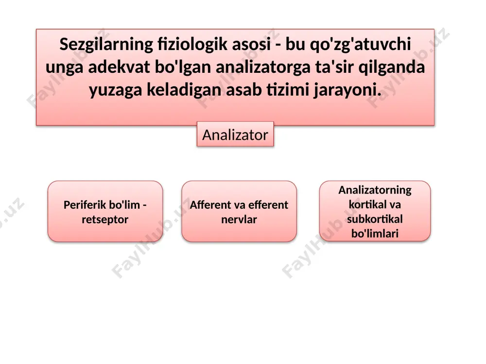 ni chaqirishga imkoni 4. vaqtning latent oralig‘i - qo‘zg‘otuvchiga ta’sirning boshlanishidan to sezgilar paydo bo‘lgunicha vaqt eks 1 veber-fexnerning psixofiziologik qonuni sezgilar kattaligi, qo‘zg‘otuvchi kuchiga nisbatan sekinroq o‘zgarishi qayd etilgan. veber-fexner qonuni sezgilar darajasi l ni qo‘zg‘oluvchilar kuchi (intensivlik) i bilan bog‘laydi. qonunning sharhi: sezgilsr darajasi l, qo‘zg‘otuvchi intensivligi i nisbiy kattaligining logarifmiga proportsionaldir. bu erda, i0 – intensivlik sezgirlikning quyi chegarasini; к va с – esa, ayrim konstantlarni bildiradi. 3 sezgining rag'batlantiruvchi kuchiga grafik bog'liqligi ko‘pgina analizatorlar uchun sezgining ta’sir kuchiga bog‘liqligi logarifmik funksiyaga yaqin bo‘ladi, lekin og‘riq analizatori uchun u chiziqli funksiyadir (1-rasm). х y qo‘zg‘otuvchi kuchi s e z g i y = k x y = lg x 1-rasm log 4 veber-fexner qonunidan xulosalar 1-rasmdan ko‘rinib turibdiki, argumentning kichik qiymatlarida logarifmik egri chiziqning ko‘tarilish keskinligi yuqori bo‘ladi, lekin argument ortishi bilan uning keskinligi kamayadi. 1 2 analizatorning sezgirligi zaif ta’sir etuvchi qo‘zg‘atuvchilarda ortadi va kuchli qo‘zg‘atuvchilarning …