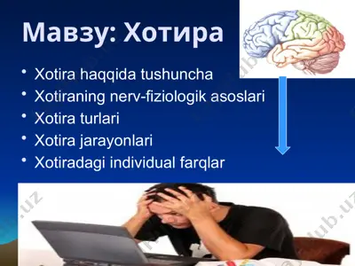xotira — PPTX