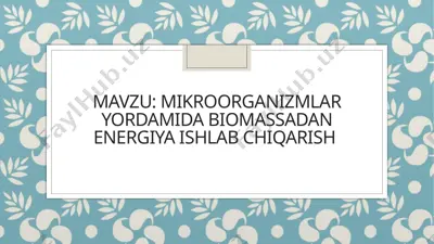 mikroorganizmlar yordamida biomassadan energiya ishlab chiqarish — PPTX