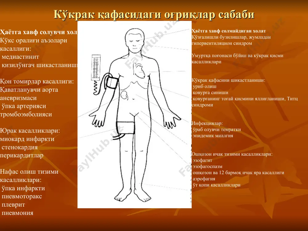 i jag'ga, bo'yinga, belga uzatiladi va ayrim xollarda xansirash, terlash, o'limdan qo'rqish xisi bilan kechadi. - og'riqlar kuchli, kuchsiz yoki ko'krak qafasidagi noxush xis bilan kechib, 1-2 daqiqadan 20 daqiqagacha davom etishi mumkin. - og'riqlar jismoniy yoki emotsional zo'riqish vaqtida, sovuqda yoki ovqatlangandan so'ng paydo bo'ladi va tinch xolatda yoki nitroglitserinni til ostiga qabul qilgandan so'ng o'tib ketadi. - xuruj bo'lmagan vaqtda asbobiy tekshirishlar kam malumot beradi. - i sinf – odatiy kundalik jismoniy zo'riqish (yurish, zinpoyadan ko'tarilish) stenokardiya xurujlarini chaqirmaydi. xurujlar kuchli, uzoq vaqt davomida va tez jismoniy zo'riqishda paydo bo'ladi; - ii sinf- odatiy jismoniy faollik bir oz chegaralangan. stenokardiya xurujlari tez yurganda, zinopoyadan tez ko'tarilganda, miyordan ko'proq ovqat eb qo'yganda yoki sovuq xavoga chiqqanda, ob-xavo o'zgarganda, stress xolatlarida, to'shakdan turgandan keyingi birinchi soatlarda; yaxshi sharoitda va odatiy tezlikda tekis yo'lda 500 m dan ko'proq masofaga yurganda yoki zinapoyadan birinchi qavatdan yuqoriga ko'tarilganda paydo bo'ladi; - iii sinf- …