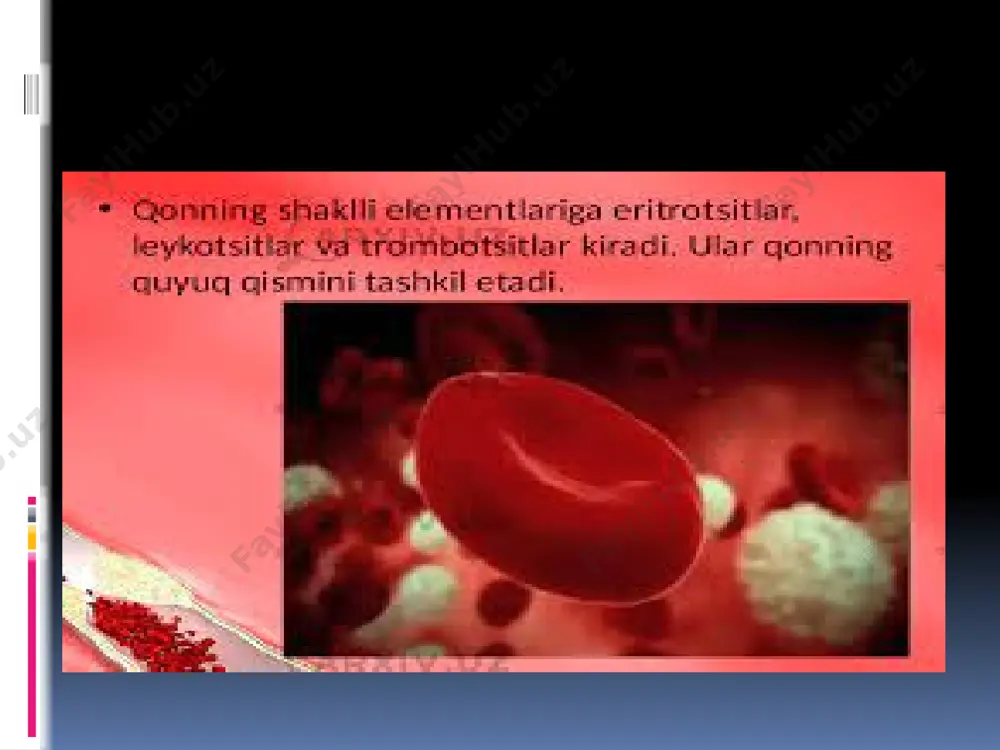 qon bioximik tahlili - Page 4