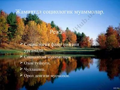 жамиятда социологик муаммолар — PPT