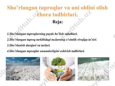 sho’rlangan tuproqlar va uni oldini olish chora tadbirlari — PPT
