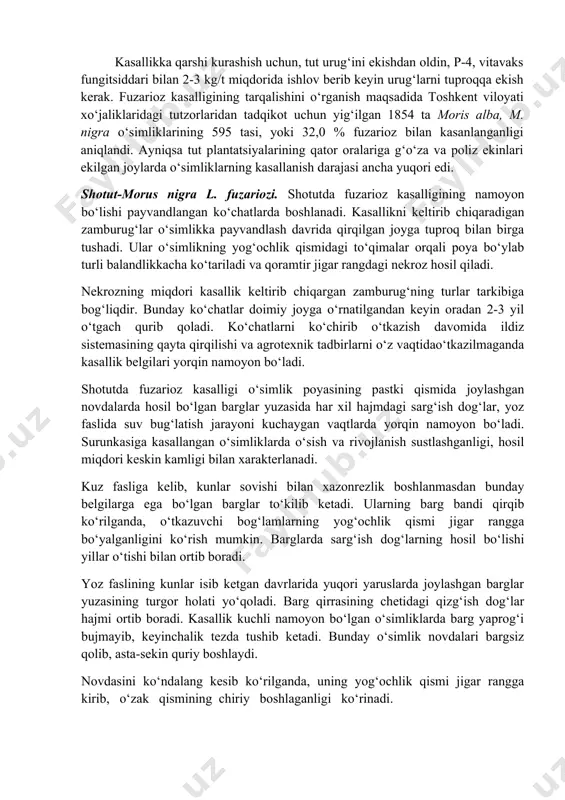 r rangga kirishi (nekroz), ildiz po‘stining chirishi natijasida qizil, ko‘k, binafsha rangga kiradi. tutzorlarda fuzarioz vilt kasalligining keng tarqalishiga asosiy sabab, tutzorlar orasiga g‘o‘za, poliz va sabzavot ekinlarini ekish natijasida infeksiyaning tuproqda to‘planishi, kasallikka chidamli navlarni aniqlanmaganligi va qator oralaridagi tuproqqa ishlov berishda tut ildiz tizimining ғ. moniliforme turi bilan zararlanishidan ildiz chirish kasalligining kelib chiqishidir. kasallikka qarshi kurashish uchun, tut urug‘ini ekishdan oldin, p-4, vitavaks fungitsiddari bilan 2-3 kg/t miqdorida ishlov berib keyin urug‘larni tuproqqa ekish kerak. fuzarioz kasalligining tarqalishini o‘rganish maqsadida toshkent viloyati xo‘jaliklaridagi tutzorlaridan tadqikot uchun yig‘ilgan 1854 ta moris alba, m. nigra o‘simliklarining 595 tasi, yoki 32,0 % fuzarioz bilan kasanlanganligi aniqlandi. ayniqsa tut plantatsiyalarining qator oralariga g‘o‘za va poliz ekinlari ekilgan joylarda o‘simliklarning kasallanish darajasi ancha yuqori edi. shotut-morus nigra l. fuzariozi. shotutda fuzarioz kasalligining namoyon bo‘lishi payvandlangan ko‘chatlarda boshlanadi. kasallikni keltirib chiqaradigan zamburug‘lar o‘simlikka payvandlash davrida qirqilgan joyga tuproq bilan birga tushadi. ular o‘simlikning …