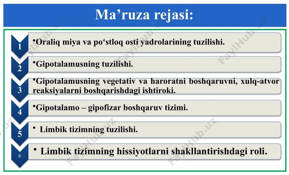 ariluvchi afferent yoʻllar aksonlaridan, oʻsimtalari katta yarim sharlar poʻstlogʻining mos ravishdagi sensor proyeksion sohalariga keluvchi oxirgi neyronlarga, keyinchalik sinaptik uzatilishi sodir boʻladi. spetsifik yadrolarning shikastlanishi, sezuvchanlikning ma’lum bir turlarini yoʻqolishiga olib keladi. ushbu eksperimental faktlar, spetsifik yadrolar periferik retseptorlardan katta yarim sharlar poʻstlogʻiga afferent impulslarni borish yoʻlida uzatuvchi stantsiya hisoblanishidan dalolat beradi. 1. oraliq miya va poʻstloq osti yadrolarining tuzilishi. talamusning asosiy proyeksion yadrolari ichida, somatosensor tizimning spetsifik yadrosi hisoblangan – ventrobazal yadroni alohida ajratib koʻrsatish mumkin. u ikki qismga – ventral posteriolateral va ventral posteriomedial yadrolarga boʻlinadi. ventral posteriolateral yadroga spinotalamik traktdan va axborotni tananing teri retseptorlaridan, mushak propriotseptorlaridan va boʻgʻin apparatidan olib keluvchi medial halqa tizimdan koʻtariluvchi tolalar kelib qoʻshiladi. ventral posteriomedial yadroga, boshning yuz qismini innervatsiyalovchi uchlamchi asab yadrolaridan mos ravishdagi yoʻllar kelib qoʻshiladi. 1. oraliq miya va poʻstloq osti yadrolarining tuzilishi. lateral tizzasimon tana sensor koʻruv tizimining spetsifik yadrosi hisoblanadi va katta yarim sharlar poʻstlogʻining ensa …