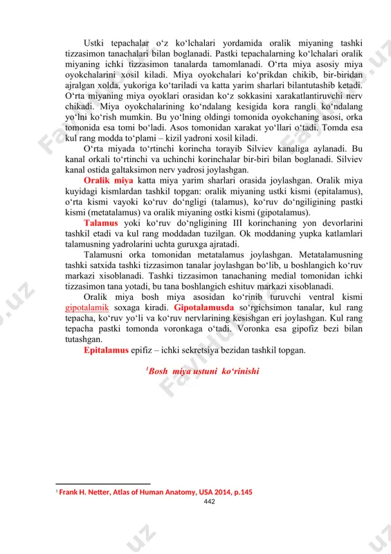 o‘rt tepalik bilan boglangan. miyacha markazida ok modda, tashki tomondakul rang moddalar joylashgan. kul rang modda miyachaning po‘stlogi deyiladi. miyacha ok moddasining oraligida kul rang moddaning to‘plamlari – yadrolari joylashgan. eng yiri kyadrolardan tishli yadro, probkasimon yadrolar xisoblanadi. miyacha tana muvozanatini saklovchi va ixtiyoriy xaarkatlarni koordinatsiyalashtiruvchi a’zo xisoblanadi. turli murakkab sport xolatlar va turli xarakatlarni bajarishda yukoriga yo‘naluvchi miyacha yo‘llari orkali proprioretseptiv impulslar olib turadi. o‘rta miya ko‘prikning joylashgan bo‘lib, uning tarkibiga miya oyoklari va to‘rt tepalik kiradi. to‘rt tepalik to‘rtta bo‘rtikdan iborat. to‘rt tepalikning yukorigi bo‘rtiklari ustki ikki tepacha, pastki bo‘rtiklari esa pastki ikki tepacha deyiladi. oldingi tepaliklarda oralik ko‘rish markazlari, orkadagilarda esa eshitish markazlari joylashgan. xar kaysi tepachaning tashki yuzasidan oralik miya tarkibiga kiruvchi tizzasimon tanachalar tomon ok moddadan tashkil topgan ko‘lchalar yo‘naladi. ustki tepachalar o‘z ko‘lchalari yordamida oralik miyaning tashki tizzasimon tanachalari bilan boglanadi. pastki tepachalarning ko‘lchalari oralik miyaning ichki tizzasimon tanalarda tamomlanadi. o‘rta miya asosiy miya …