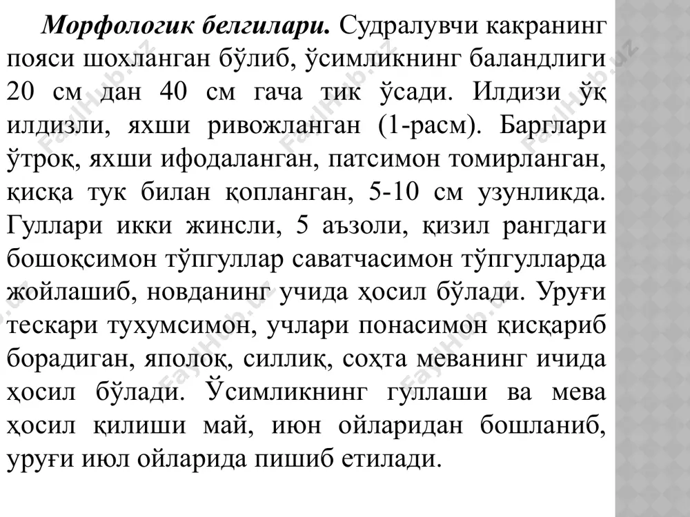 рининг ҳосилининг йиғиш пайтига тўғри келади. 4-расм. судралувчи какранинг саватча тўп гули. экологияси. судралувчи какра енгил ва оғир лойли тупроқларда яхши ўсади, тупроқ шўрланишига ҳам чидай олади. у қурғоқчилик иқлимда ва ёғин миқдори қариб 200-375 мм ни ташкил этувчи ярим чўл минтақаларида ҳам ривожлана олади. судралувчи какра -юқори рақобатбардош ўсимлик шу боис фитоценозда у одатда доминантлик қилади. ҳаётий шакли. илдиз бачкилий кўп йиллик ўт, гемикриптофит. зарари. судралувчи какра -ҳаддан ташқа кучли зарар кетирувчи бегона ўт. у экинларнинг ҳосилдорлиги ва сифатини, паст тексликларнинг маҳсулдорлигини пасайтиради. судралувчи какра уруғи билан ифлосланган дон қайта ишланганда у аччиқ тамли бўлиб қолади. судралувчи какра ўсимлигида кўплаб алколоидлар тўпланади, шу боис у билан ифлосланган пичан билан боқилган қишлоқ хўжалиги ҳайвонларида заҳарланишлар юзага келади. какрали пичан айниқса отлар учун хавфлидир. у сигир сутининг тамини кескин бузади. судралувчи какра бутунлай йўқ қилиниши жуда қийин бўлган ва кўпгина мамлакатларда ( рассия, украина, қозоқистон, ақш ва бошқалар) карантин бегона ўтлари …