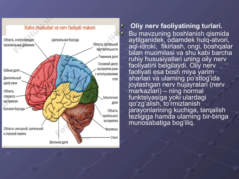 bo’lib, tez o’tib ketadi. lekin bular bolada boshlanayotgan surunkali chaqaloqlikning birlamchi belgilari bo’lib, astenik sindromdeb ataladi va bu kasallik markaziy nerv sistemasi faoliyati buzilishining bir turi hisoblanadi. uyqu va uyqu gigiyenasi. uyqu organizm uchun zarur fiziologik jarayonlardan hisoblanadi. u nerv sistemasi va butun organizmning normal faoliyatini ta’minlaydi. i.p.pavlov ko’rsatishicha uyqu bosh miya yarim sharlar po’stlog’ining hamma yuzasida ichki tormozlanishning irradisiyalanishi natijasida hosil bo’lib, bu tormozlanish irratsiyasi bosh miyaning quyi bo’limlariga, oraliq va o’rta miyaga ham tarqaladi. uyqu vaqtida uzunchoq miya faoliyati to’xtab qolmaydi. odam o’rta hisobda bir sutkada 8 soat uxlaydi. uyqusiz 4-5 sutka yurishi mumkin. uzoq uyqusizlik nerv, ruhiy kasalliklarini keltirib chiqaradi. odam umrining 3:1 qismi uyquga ketadi. uyquning quyidagi turlari mavjud: tabiiy fiziologik uyqu, gipotik uyqu, narkotik uyqu. tabiiy fiziologik uyqu har kun tundagi normal uyqudir. odam organizmining tabiiy fiziologik uyquga ehtiyoji yoshga qarab turlicha bo’ladi. chaqaloqlarda 21-22 soat, 13-14 yoshda 9.5-10 soat, katta bolalarda 8 soat. tungi …