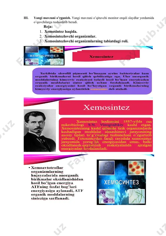 xemosintez - Page 3