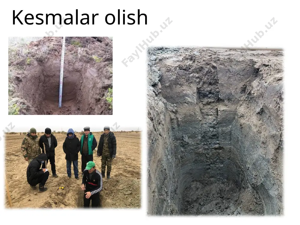 inadi. aks holda, tuproqning tabiiy tuzilishi buzilib ketadi, bunday tahlil natijasi to‘g‘ri bo‘lmaydi. ishqoriylik nazorat savollari: 1. namunalarni analizga tayyorlash qoidalari. 2. tuproqning namunalarini analizga tayyorlashning ahamiyati mexanik zarrachalar %5,2 1000 10025   o‘simlik ildizlari %0,1 1000 10010   boshqa qo‘shilmalar %5,0 1000 1005   ni tashkil etadi. demak, 1000 gr tahlil uchun olingan tuproq ichida (25+10+5) 40 gr qo‘shilma bo‘lganda, u namunaga nisbatan %0,4 1000 10040   ni tashkil etadi.