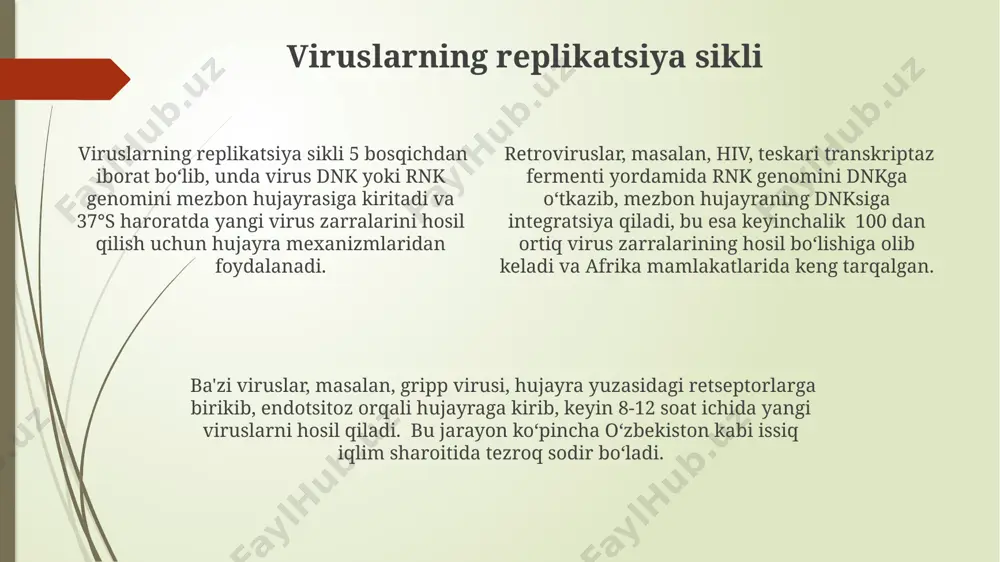 ayvonlar va bakteriyalarni yuqtiradigan 1000 dan ortiq virus turlari mavjud bo'lib, ularning ba'zilari, masalan, gripp virusi kabi, yillik epidemiologik o'zgarishlarga uchraydi. viruslarning ko'pchiligi faqatgina mezbon hujayralar ichida ko'payadi, masalan, 100 nm dan kichik o'lchamdagi viruslar hujayra membranasini o'zlashtirish orqali kirib, hujayra mexanizmlarini nazorat qiladi. litik va lizogen sikllar lizogen sikl davomida, masalan, lambda fagi o'zining dnksini bakteriya xromosomasiga qo'shib, provirus holatida saqlanib qoladi va bakteriya hujayrasi ko'payishi bilan birga ko'payadi. bu jarayon shimoliy amerikadagi ko'plab laboratoriyalarda o'rganilgan. bakteriofaglar, masalan, t4 fagi, litik sikl orqali e. coli bakteriyalariga hujum qilib, 20 daqiqadan keyin 100 ga yaqin yangi virus zarralarini hosil qiladi va bakteriya hujayrasini yo'q qiladi. litik va lizogen sikllar o'rtasidagi tanlov, virusning genetik tuzilishiga va atrof-muhit omillariga, shu jumladan bakteriya hujayrasining sog'lig'iga va 37°c kabi temperatura sharoitlariga bog'liq. virus oilalari va jinslari picornaviridae oilasi, 4 ta genus bilan, ko'plab keng tarqalgan inson virusli kasalliklarini, jumladan, sovuqtepalik va poliomiyelitni keltirib chiqaradi; …