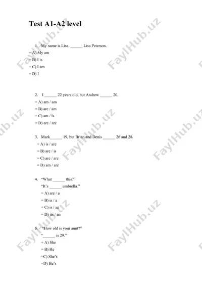 english grammar test a1-a2 level — DOCX