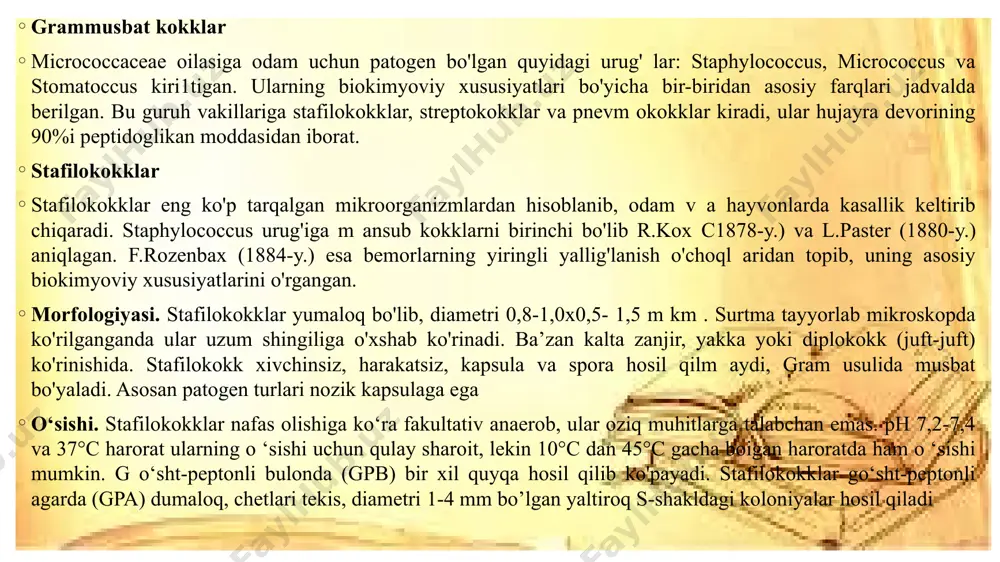 felyayzen (1883-y.) va rozenbax (1884-y.) sun’iy oziq muhitlarda streptokokklarning sof kulturasini ajratib olishga muvaffaq bo’lishdi. morfologiyasi. streptokokklar yumaloq yoki bir oz cho‘zinchoq bo’lib, diametri 0,5-1,0 mkm. ular juft-juft bo’lib yoki zanjirga o'xshash joylashadi. streptokokklar harakatsiz, spora hosil qilmaydi, grammusbat bo'yaladi. patogen turlarining mikrokapsulasi mavjud. shakar va spirtni bijgʻitadi o‘sishi. streptokokklar o'sishi uchun qulay harorat 37°s bo'lib, 15-45°s da, ba’zan 47 °s da ham o'sa oladi. oddiy oziq muhitlarda streptokokklar juda sekin o'sadi, patogen turlari esa butunlay o'smasligi ham mumkin. shuning uchun ularni maxsus: qandli, qonli, zardobli agarlarda, ph 7,2-7,6 bo'lgan oziq muhitlarda o'stiriladi. ular qattiq oziq muhitlarda juda mayda, diametri 0,5-1 mm bo’lgan, xira kulrang yoki oqish yumaloq, donador, kamroq s -shakldagi koloniyalar hosil qiladi. qonli agarda streptokokkning turiga ko‘ra betta yoki alfa gemoliz ro‘y beradi. streptokokkning ayrim turlari (str.anginosus, str.bovis, str.mitis, str.mutans, str.salivarius) gemoliz hosil qilmaydi, shuning uchun ular «nogemolitik streptokokklar» deyiladi. streptokokk qandli bulonda o'ziga xos ko‘rinishda, ya’ni …