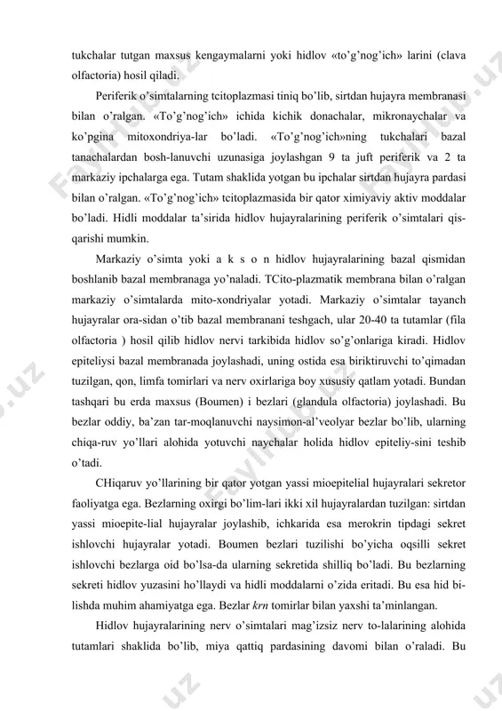 katta miya markazlari tipida tuzilgan bo’lib elementlari murakkab joylashgan. so’g’on po’stlog’ida 5 ta qatlam farq qilinadi: 1) tashqi tolali qatlam; 2) koptokchali qatlam; 3) molekulyar qatlam; 4) mitral qatlami; 5) donador qatlam; hidlov so’g’onlarining asosiy neyroni mitral hujayralar bo’lib, ular koptokchali qatlamda uzun dendritlarining oxirgi tarmoqlari yordamida hidlov koptokchalarini hosil qiladi. so’g’onning tashqi tolali qatlamini hosil qiluvchi tolalar shu erda tugaydi. mitral hujayralarning qisqa dendritlari o’z tarmoqlari bilan molekulyar qatlamni hosil qiladi. bu erda, shuningdek donador qavatning uzun neyritga ega bo’lmagan hujayralar tolalarining tarmoqlari joylashadi. mitral hujayralarning nerv o’simtalari hidlov traktiga kiradi va so’ngra po’stloqning hidlov bo’lagiga etib, bu erda yotgan piramidasimon hujayralar dendritlarining tarmoqlari sohasida impul’sni keyingi neyronga uzatadi. hidlov organi xemoretceptordir. hidli moddalar-ning molekulalari havo bilan birga burun bo’shlig’iga kirib, ichki hidlov pardasi yuzasiga tegadi va bezlar sekretida eriydi. bunda hidli moddalarning molekulalari hidlov to’g’nog’ichlari va ularning tukchalariga nisbatan qitiqlovchi modda bo’lib xizmat qiladi. adabiyotlar: 1. narziyev d.x., …