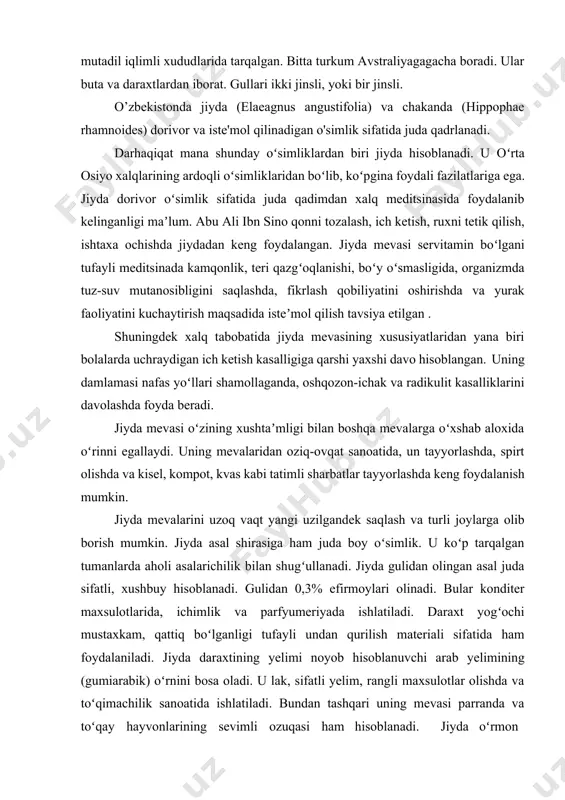 oʻyishgan. chunki, bu meva tarkibida oz miqdorda suv saqlangani uchun sarxil holatda uzoq saqlanadi. jiyda mevasi tarkibida qand, oqsil, yogʻ, organik kislotalar, oshlovchi va boʻyovchi moddalar, kaliy tuzlari va fosfor mavjud. shuningdek, b1, b2, pp, e darmondorilari ham bor. bargida esa c askorbin kislotasi mavjud. jiyda yurtimizning barcha goʻshasida joy tanlamay yaxshi oʻsadi va hosilga kiradi. sharq jiydasining ensiz bargli jiyda, kumushsimon jiyda, keng bargli jiyda, qizil jiyda, chilon jiyda turlari tarqalgan. ushbu meva oʻziga xos shifobaxsh xususiyatga ega boʻlib, bu haqida tabobat ilmi sultoni abu ali ibn sino ham koʻp bora toʻxtalib oʻtgan va tibbiyotda keng foydalangan. jumladan, ibn sino jiyda borasida shunday degan: “...har qanday oqayotgan narsani toʻxtatadi. kishining ichki aʼzolariga quyilayotgan safroni yoʻqotadi... issiqdan boʻlgan yoʻtalga foydalidir. qusishni toʻxtatadi. jiyda koʻp peshob chiqarishga qarshi foydalidir. ” bundan tashqari jiyda mevasi yoki uning damlamasi bolalarda uchraydigan ichketishiga qarshi davo hisoblangan. shuningdek, uning damlama nafas yoʻllari shamollaganda ham tavsiya …
