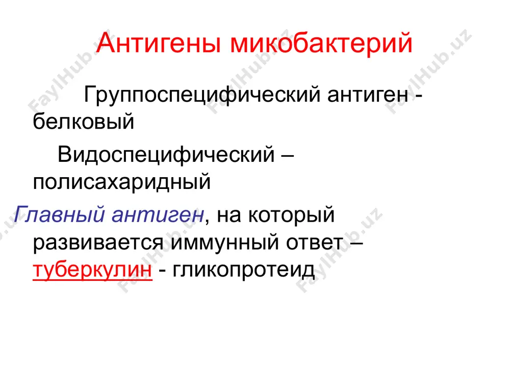 аспространен повсеместно росту заболеваемости способствуют социально-экономические факторы (основной фактор – голодание) с 1990 года во всем мире регистрируется резкий подъем заболеваемости вирус иммунодефицита человека (вич) и синдром приобретенного иммунодефицита вызвали заметное увеличение числа случаев туберкулеза в некоторых странах с другой стороны, проблема заключается в распространении микобактерий с множественной лекарственной устойчивостью лечение в настоящее время по степени эффективности противотуберкулезные препараты делятся на 3 группы: группа а – изониазид, рифампицин и их производные (рифабутин, рифатер) группа в – стрептомицин, канамицин, этионамид, циклосерин, фторхинолоны и др. группа с – паск и тиоацетозон вакцина бцж (bcg – бацилла кальметта и герена) – содержит живые авирулентные микобактерии, полученные из m.bovis путем многолетних пассажей на средах, содержащих желчь поствакцинальный иммунитет связан с формированием гзт (гиперчувствительности замедленного типа) специфическая профилактика лабораторная диагностика клинический материал: гной, мокрота, кровь, бронхиальный экссудат, спиномозговая жидкость, плевральная жидкость,моча и др. методы: бактериоскопический : прямая окраска мазка мокроты по методу циля-нильсена или мазка …