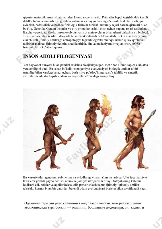 , qon aylanish, nafas olish va boshqa fiziologik tizimlar tuzilishi umumiy rejasi barcha qismlari bilan bog'liq. genetika genom insonlar va oliy primatlar tashkil etish uchun yagona rejasi tasdiqlandi. barcha yuqoridagi faktlar inson evolyutsiyasi sut emizuvchilar bilan ularni birlashtirish biologik xususiyatlari bilan sezilarli darajada bilan xarakterlanadi deb ko'rsatadi. lekin ular asosiy emas. etakchi roli ijtimoiy omillarga antropologiya tegishli: og'zaki muloqot uchun qulay qo'shma tadbirlar mehnat, ijtimoiy tizimini shakllantirish, din va madaniyatni rivojlantirish. aqsh batafsil ularni ko'rib chiqamiz. inson aholi filogeniyasi yer hayvonot dunyosi bilan parallel ravishda rivojlanayotgan, mehribon homo sapiens tabiatda yetakchiligini o'tdi. bu sabab bo'ladi: inson jamiyat evolyutsiyasi biologik omillar ta'siri ustunligi bilan xarakterlanadi uchun. bosh miya po'stlog'ining va so'z tahliliy va sintetik vazifalarini ishlab chiqish - odam va hayvonlar o'rtasidagi asosiy farq. bu xususiyatlar, genomun sobit emas va avlodlariga emas. ta'lim va tarbiya: ular faqat jamiyat ta'sir erta yoshda paydo bo'lishi mumkin. jamiyat rivojlanishi tufayli fidoyilikning kabi bir hodisani …