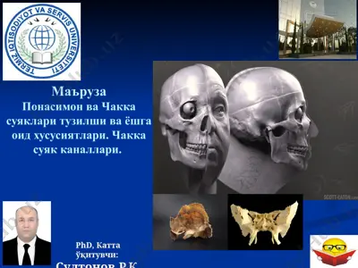 kalla suyaklarining taraqqiyoti — PPTX