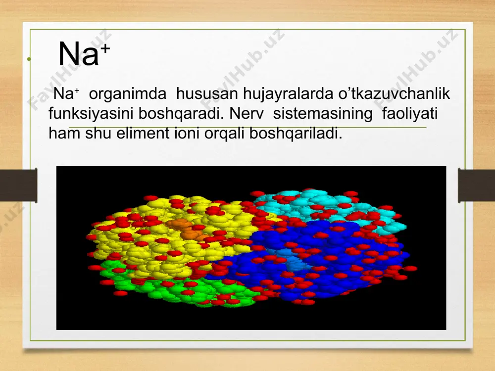 anarganikaliq ionlar ularning funksiyalari - Page 5